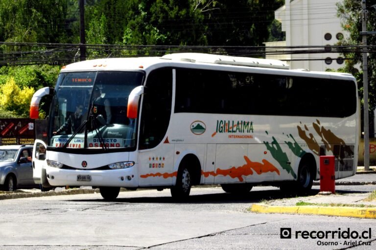 Qué servicios ofrece Cruz del Sur en Cutral Co 23 autobus cruz del sur en estacion cutral co