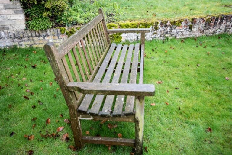 Por Qué Elegir Bancos Con Troncos De Madera Para Tu Jardín