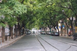 calle arbolada con edificios y tranvia antiguo