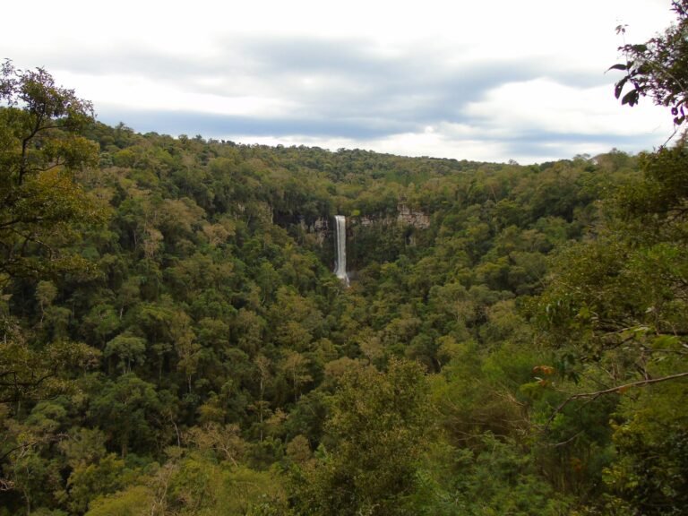 Dónde queda el Salto Bella Vista en San Vicente, Misiones 3 cascada natural en bosque tropical misiones