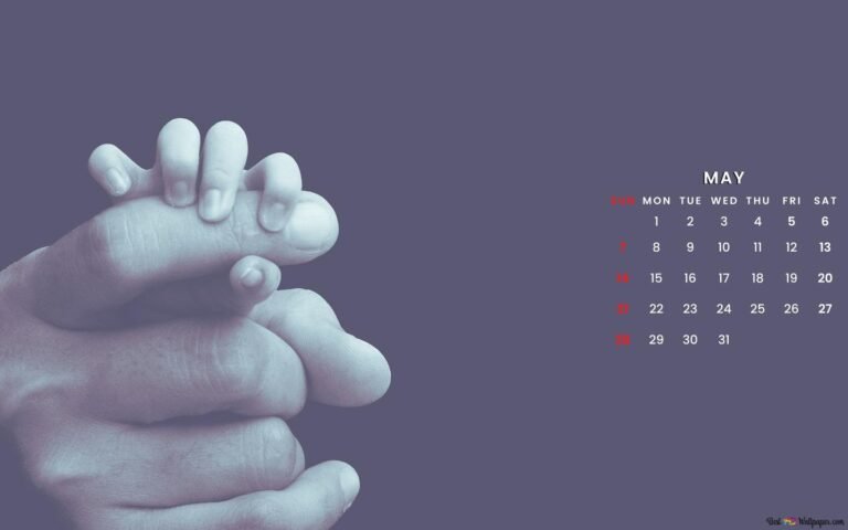 Cuándo paga Anses la licencia por maternidad y cuáles son las fechas