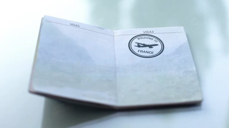 oficina de aduanas con documentos y sellos