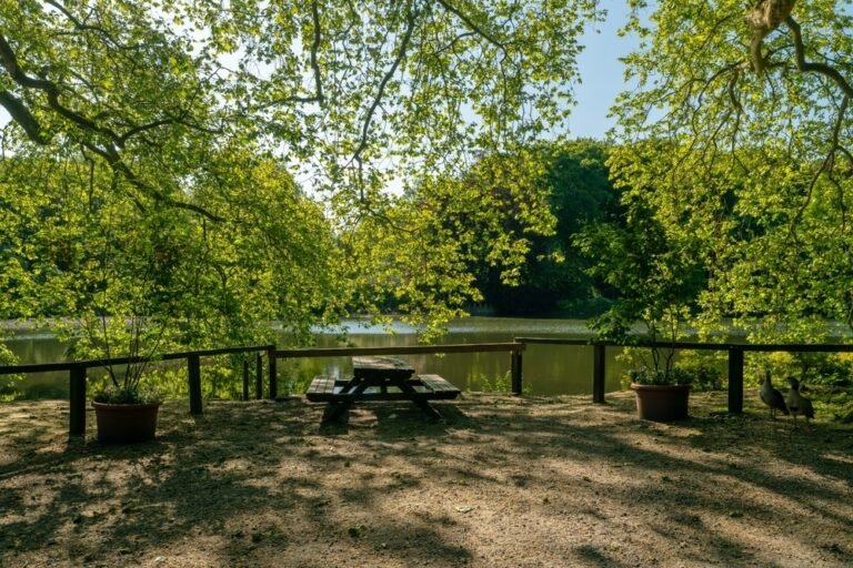 Cuáles son los mejores lugares para un día de campo en San Andrés de Giles