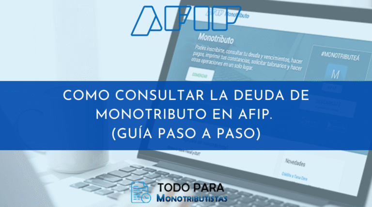 persona consultando deuda en afip computadora