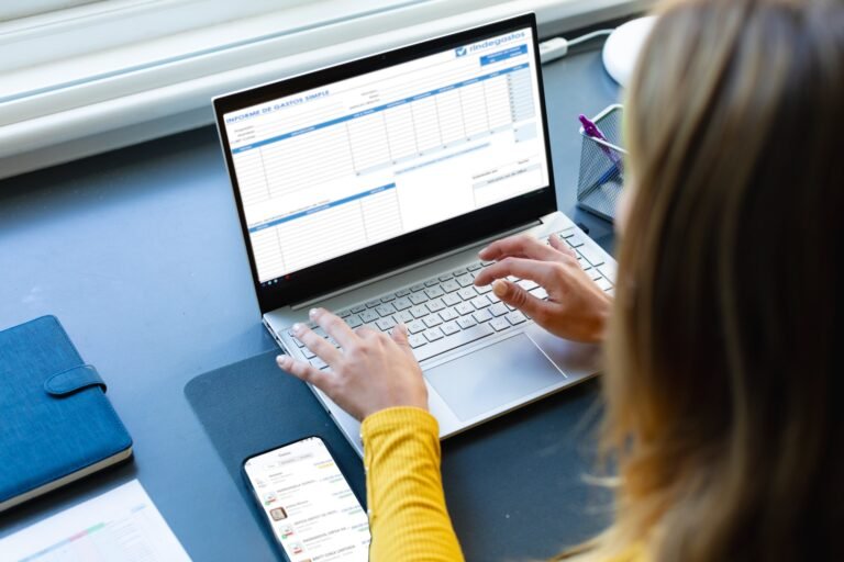 persona usando laptop con hoja de calculo abierta