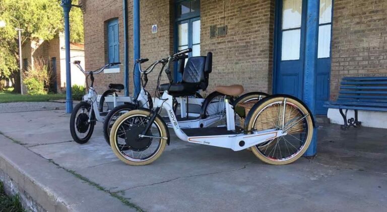 Dónde Comprar Triciclos para Adultos con Motor en Argentina