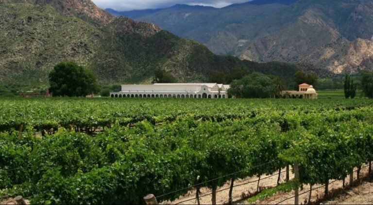 Qué actividades y lugares no perderse en Cafayate