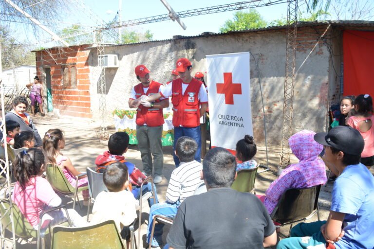 Qué son las organizaciones no gubernamentales de Argentina y cómo funcionan 8 Qué son las organizaciones no gubernamentales de Argentina y cómo funcionan